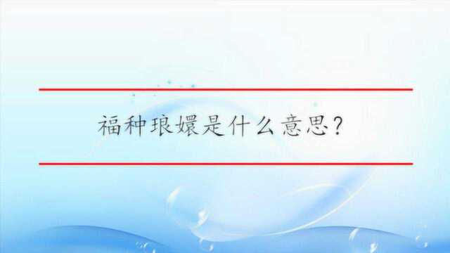 福种琅嬛是什么意思?