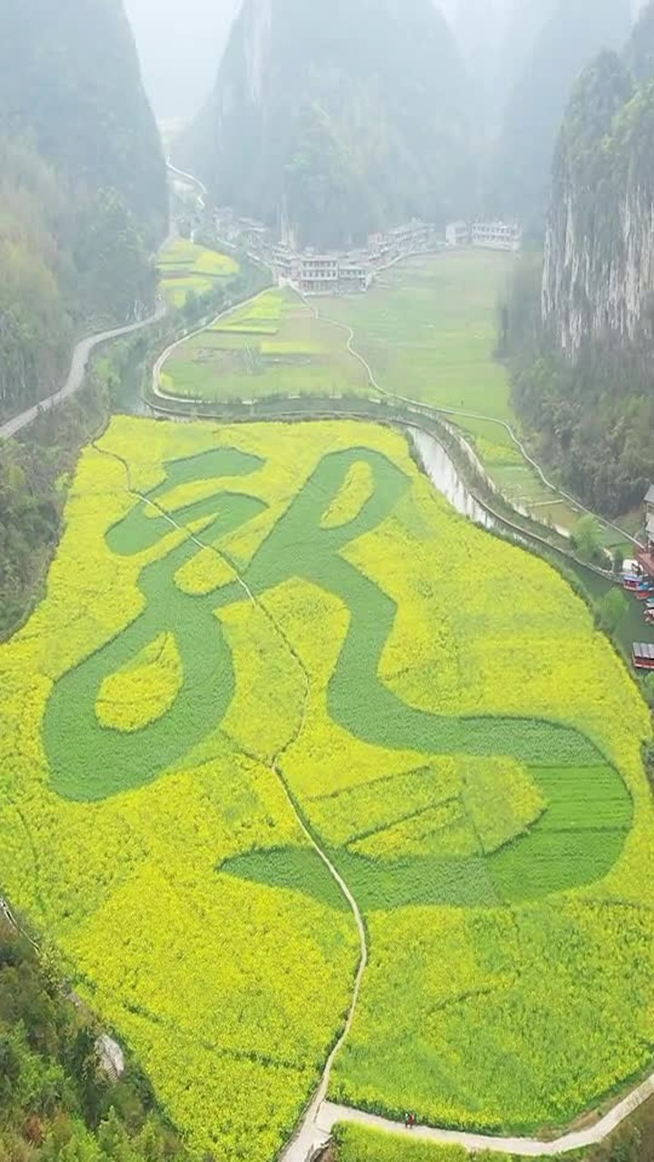 贵州大山里的田园风光,安顺龙宫龙字田