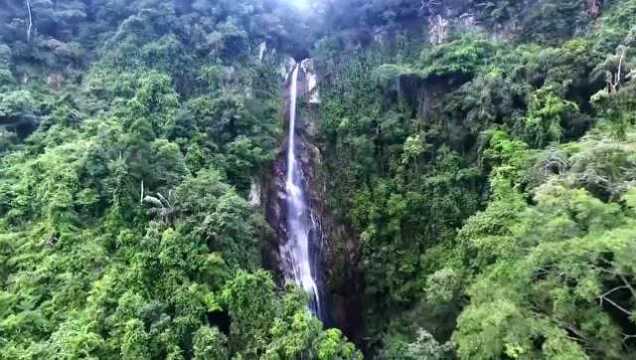 瞰海南ⷧ𓻥ˆ—策划:“飞阅”鹦哥岭 感受原始热带雨林的魅力