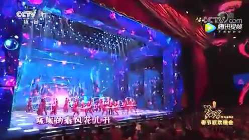 2018年中央电视台《春节联欢晚会》 代表节目：歌曲《赞赞新时代》