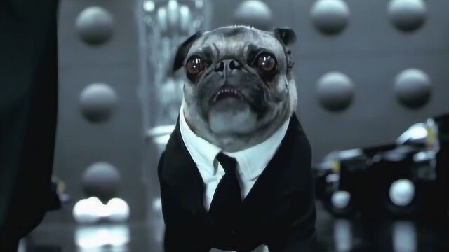 《黑衣人2》话痨狗警探萌翻观众!电影里狂抢史皇风头