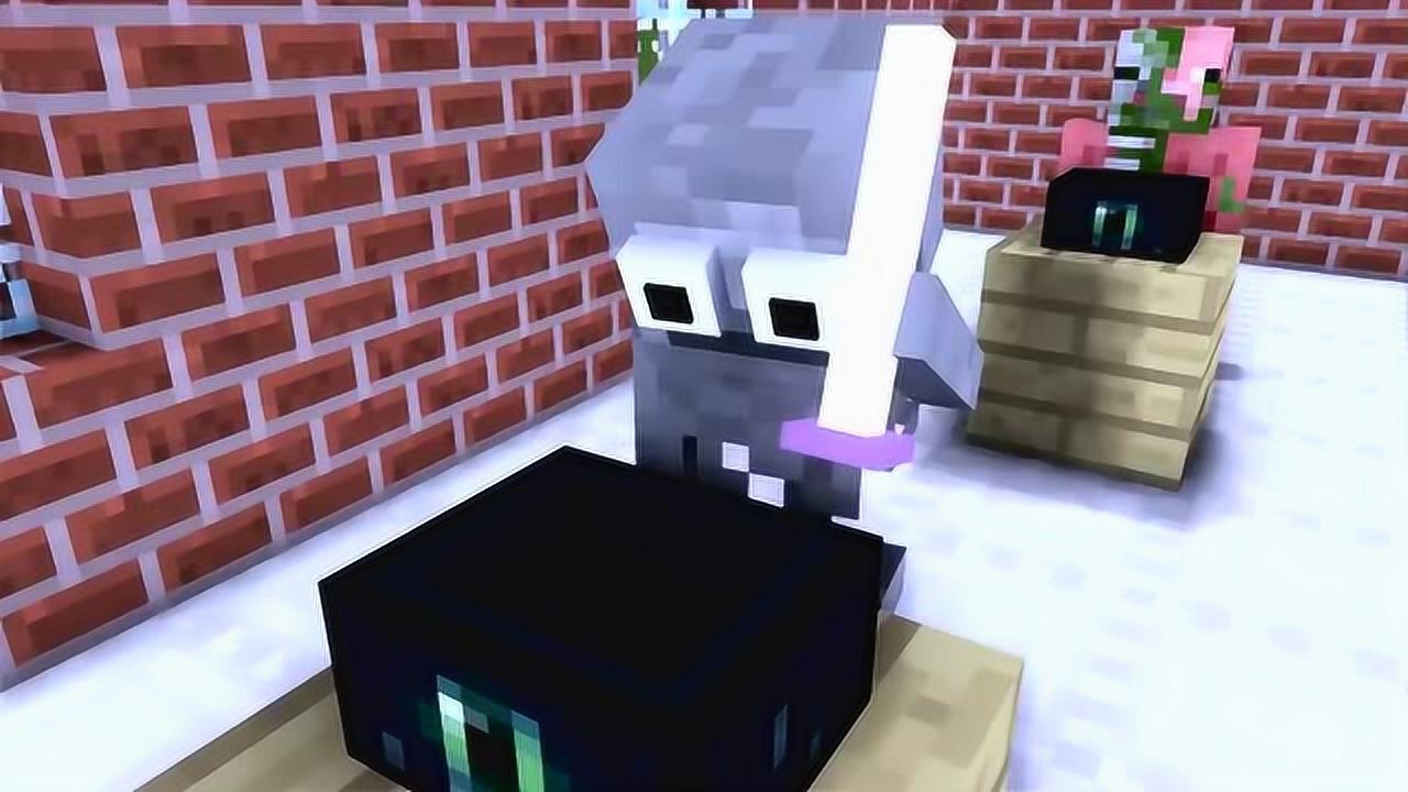 我的世界:这回,骷髅小白不想进化也不行了.