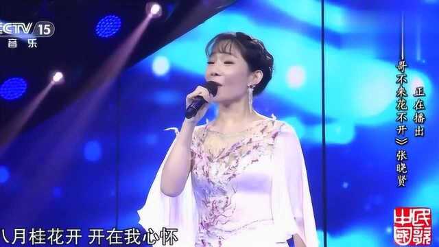 美女张晓贤演唱《哥哥不来花不开》歌声甜美,令人陶醉