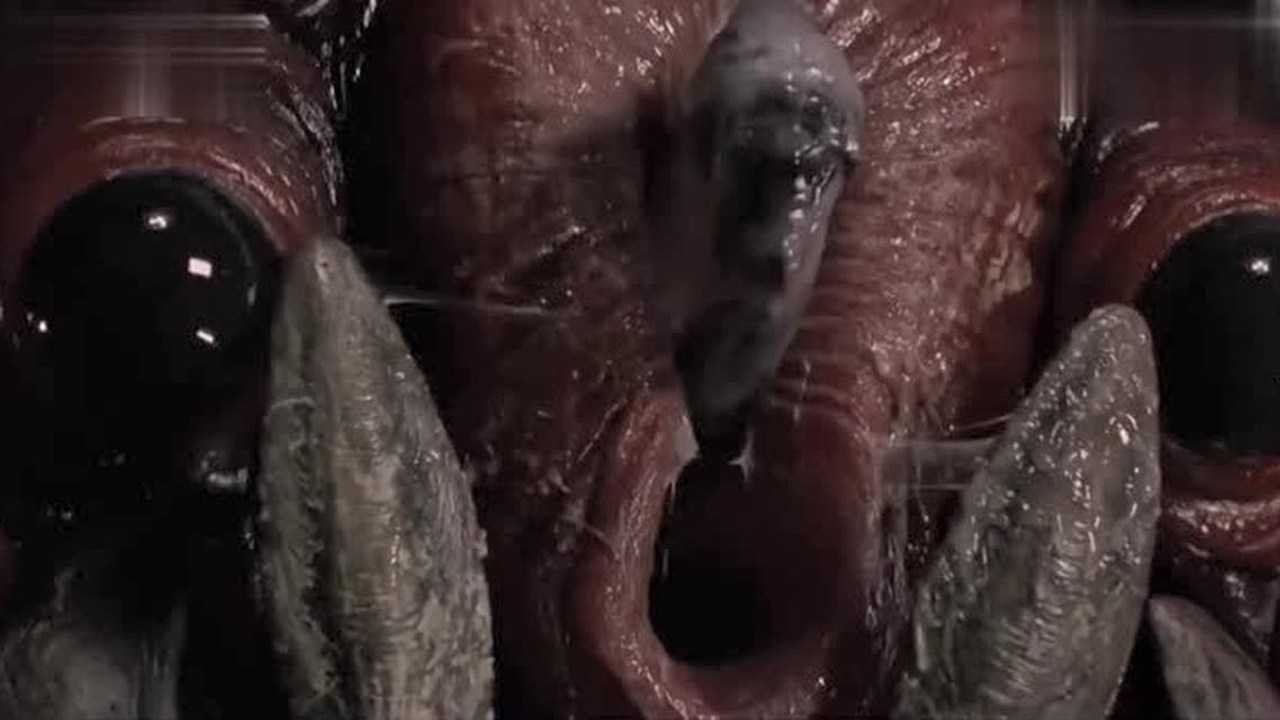 星河战队虫王用触手插入男子脑袋结果用力一吸满嘴脑髓刺激