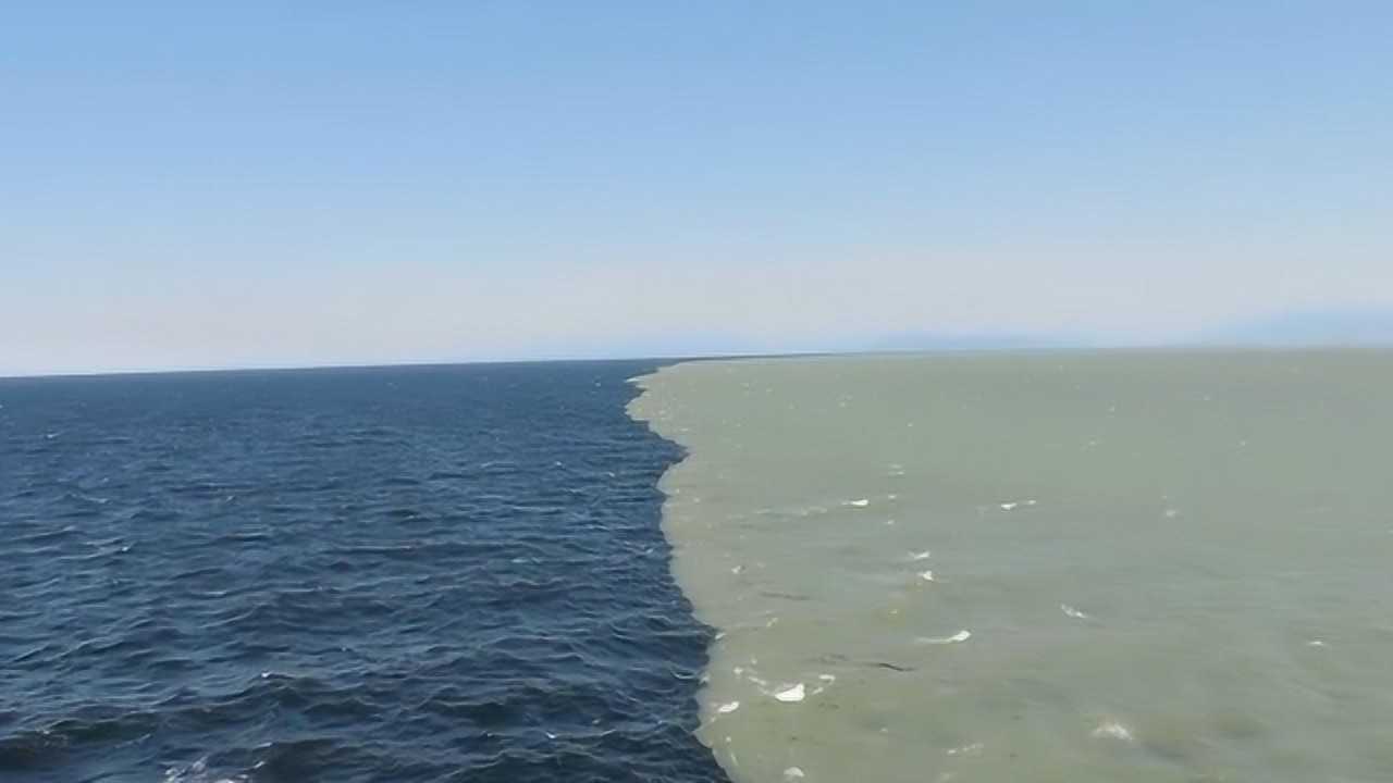 大海的分界线一半是黄色一半是蓝色大自然也太神奇了