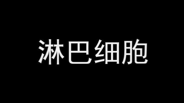 零突破!百济神州抗癌新药在美获批上市 众多药企抢局BTK抑制剂