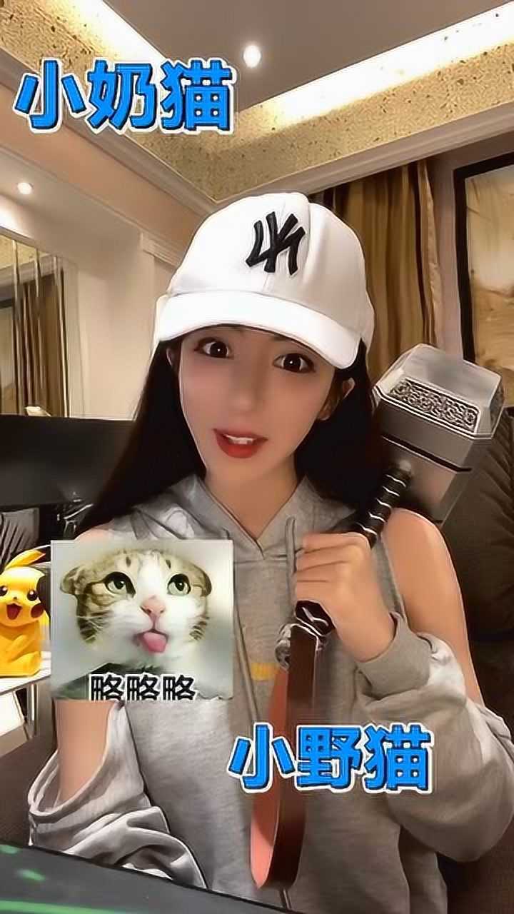 呆妹儿小霸王你们说说为啥我们女生喜欢当个猫呢