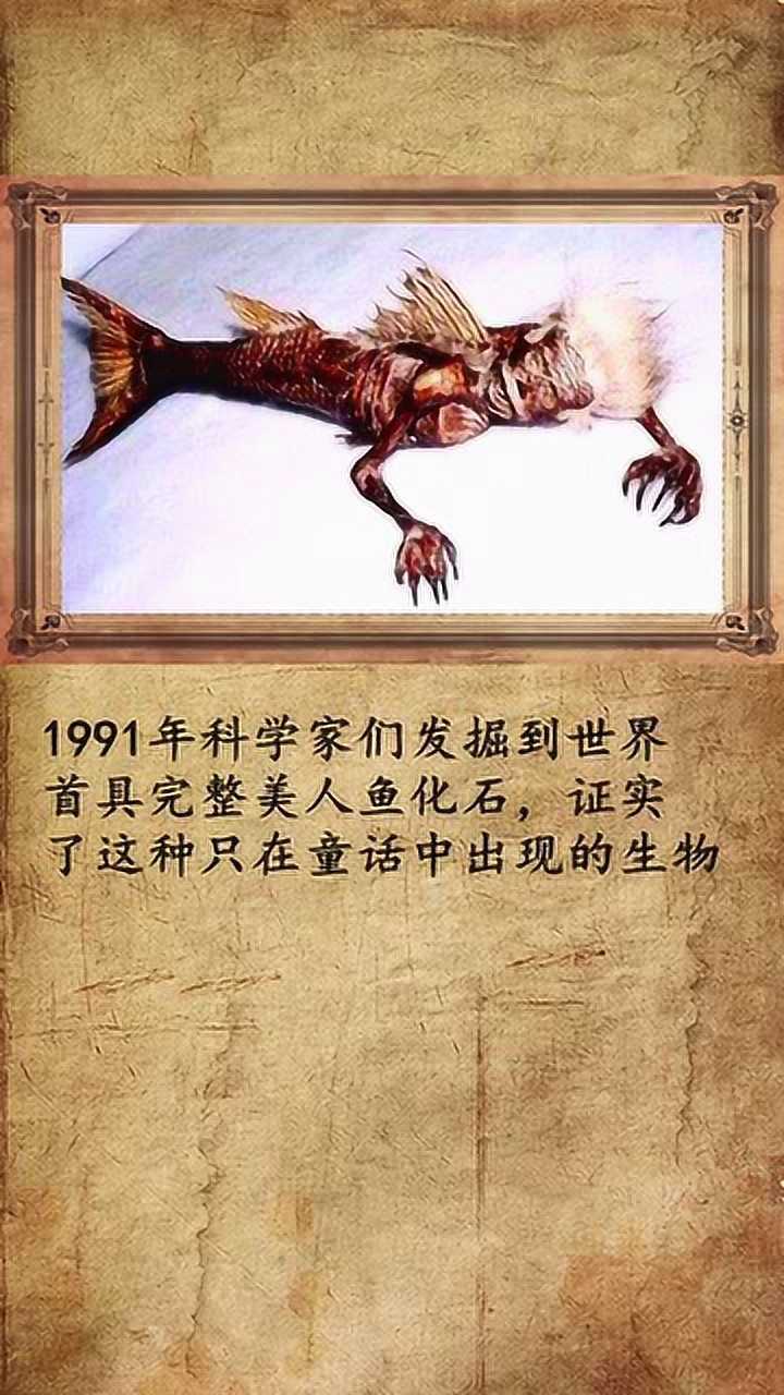 美人鱼之谜,未解之谜