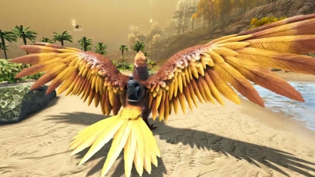 准极品阿根廷巨鹰驯服菊花配色有点魔力方舟