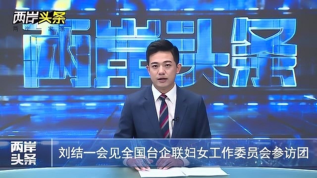 刘结一会见全国台企联妇女工作委员会参访团