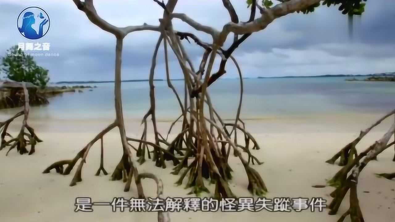 失踪事件大解密百慕大三角的诅咒