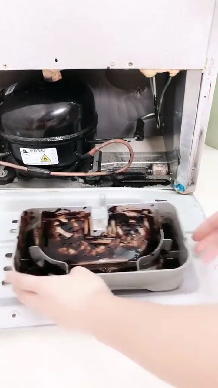 冰箱后面的排水口这么清洗