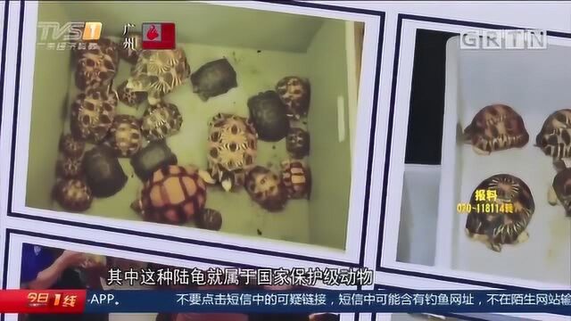 广东江门市警方通报:特大贩卖野生保护动物案告破,23人落网