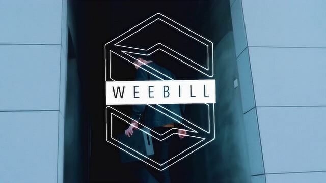 智云weebills稳定器评测MV