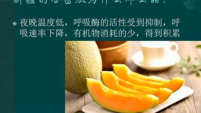 第三章 细胞的代谢 第十节课