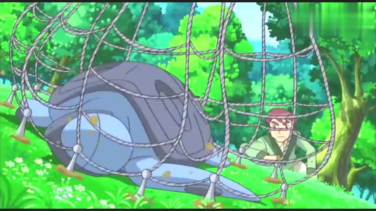 数百万年前的原盖海龟,进化为肋骨海龟!