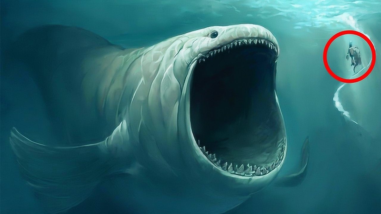 体长20米的海底巨兽无人质疑的事实世界真实存在水怪卡布罗龙