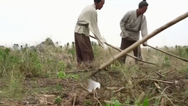 76岁的李善长,在家务农种地,为啥还被朱元璋满门抄斩,做错了啥