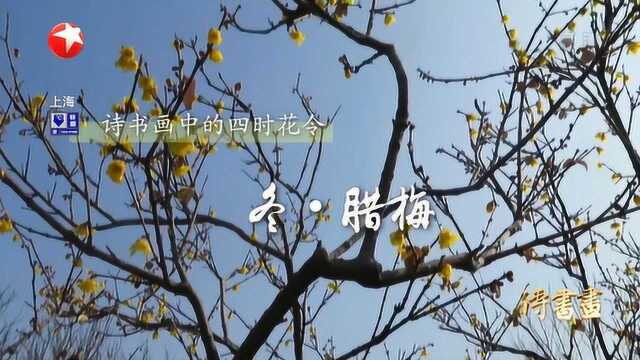 诗书画2020.01.08《次韵汉卿舅腊梅ⷥ…𖤸€》《腊梅山禽图》