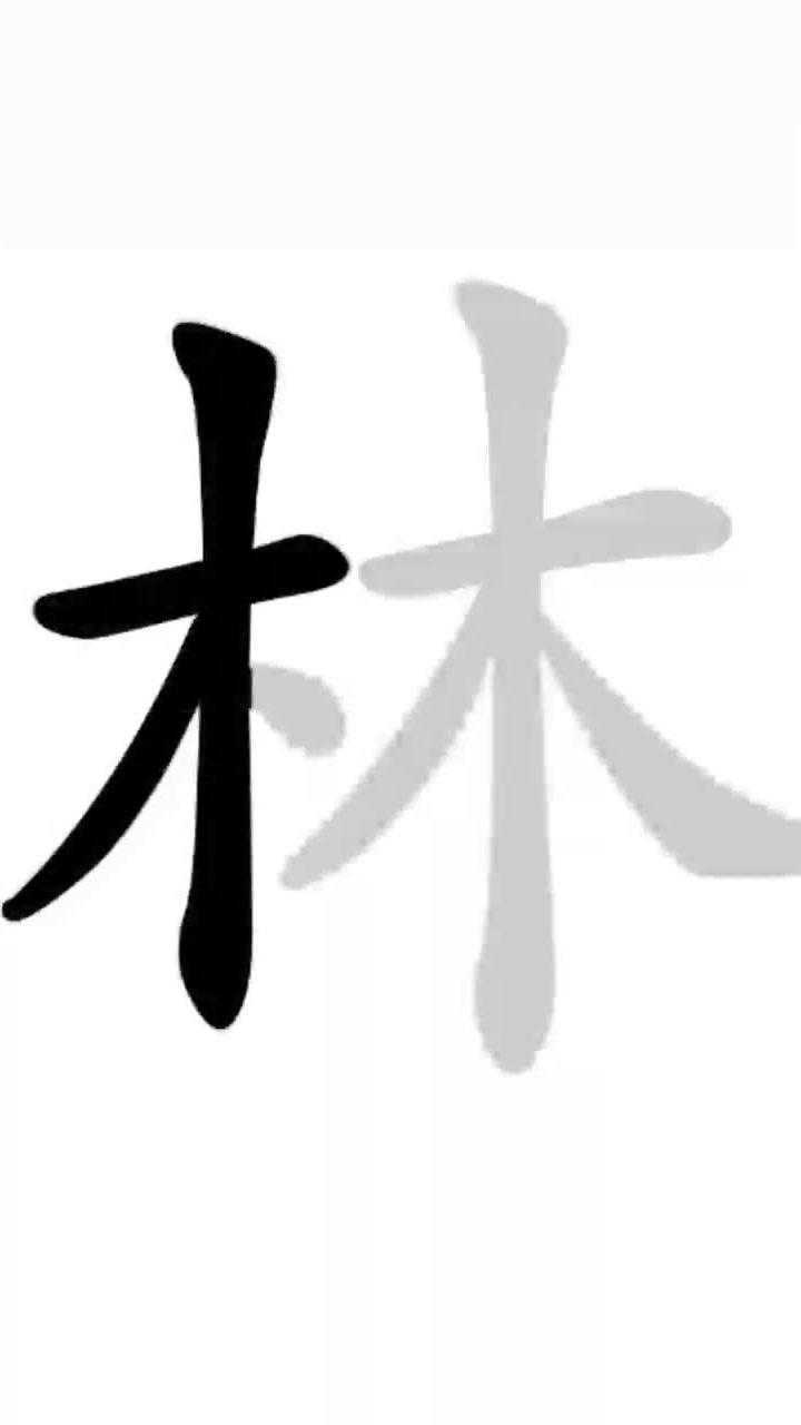 百家姓林志颖的林书写笔顺