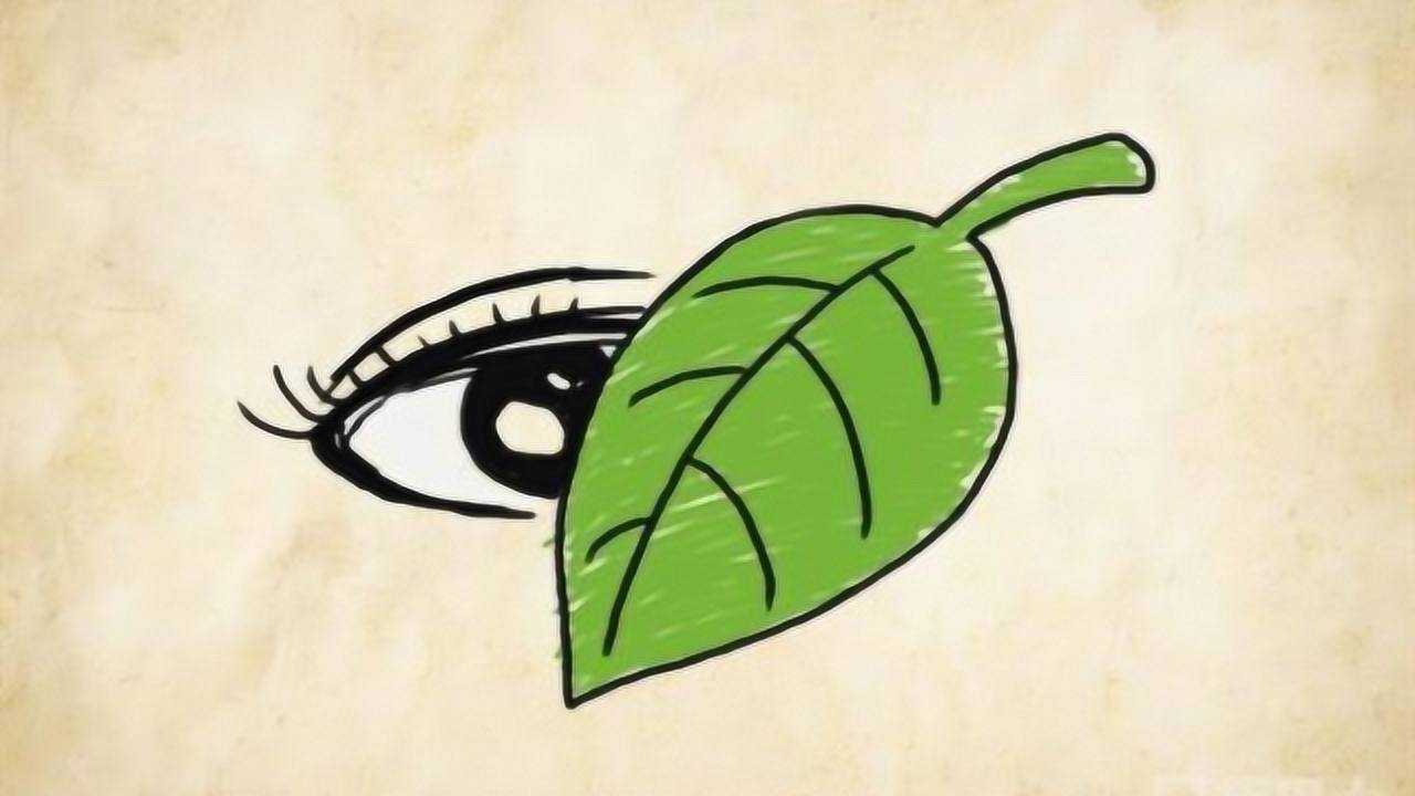 看图猜成语一个眼睛一部分被一片叶子挡住打一成语