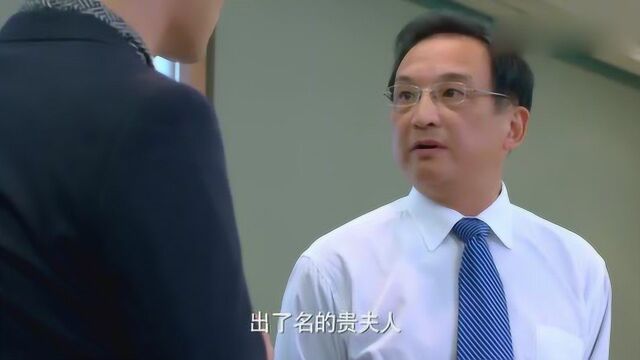 高冷律师被停职,听完理由都懵了,老婆的这些操作真是厉害