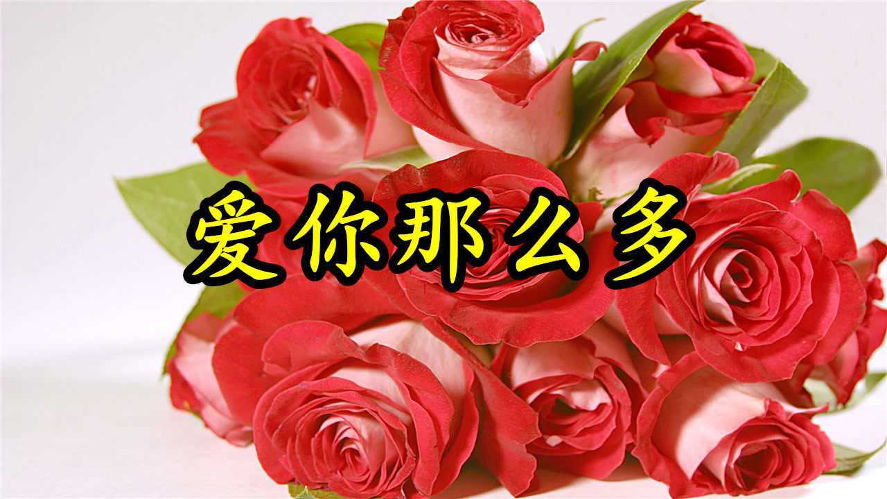 情歌mv:《爱你那么多》想就这样牵你的手,幸福地一直往前走