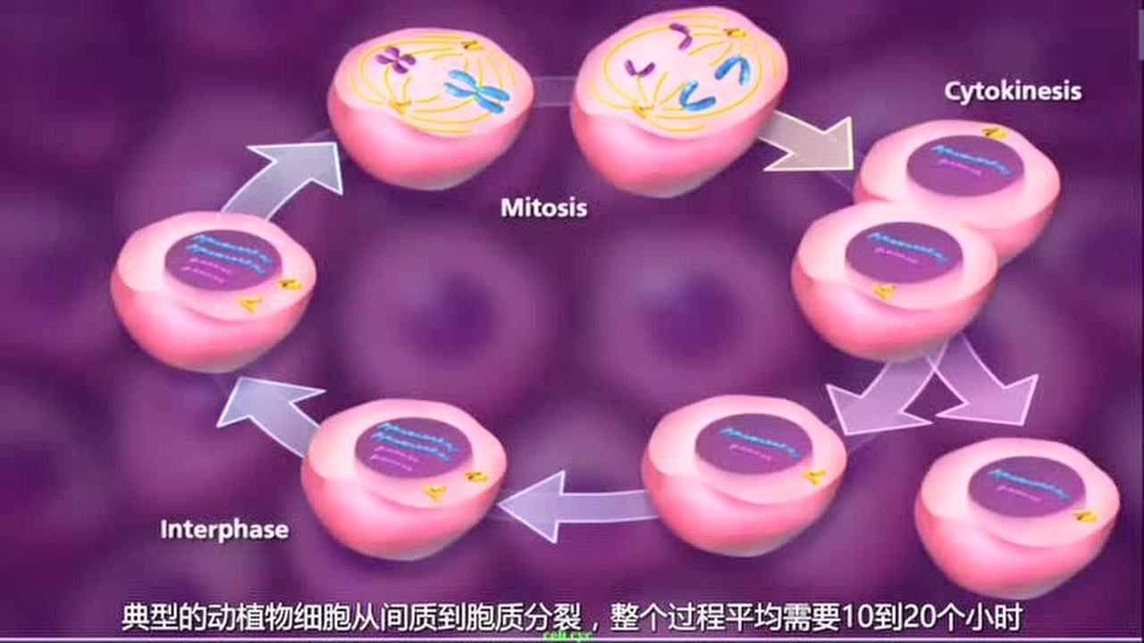 騰訊視頻