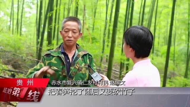 绿色产业三:基金推动三产融合 竹产业助推脱贫攻坚