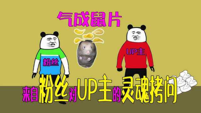 【沙雕动画】来自粉丝对UP主的灵魂拷问(气成鼠片)