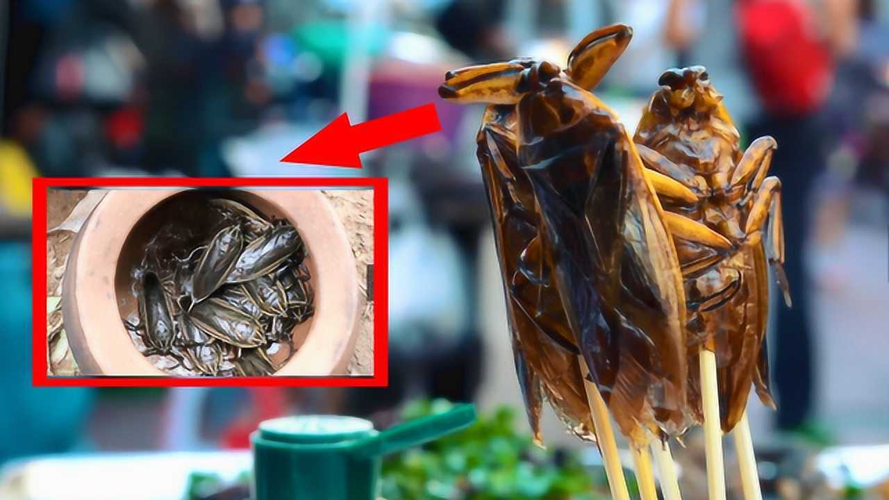 油炸海蟑螂图片