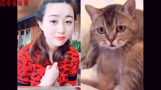 网友:这是全网最色的猫咪!