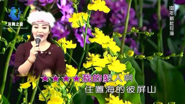 带你一起听好歌 翻唱闽南歌曲 多情的阿娜达