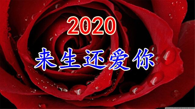 2020年新歌!一曲《来生还爱你》今生无缘在一起,来生我们再相聚