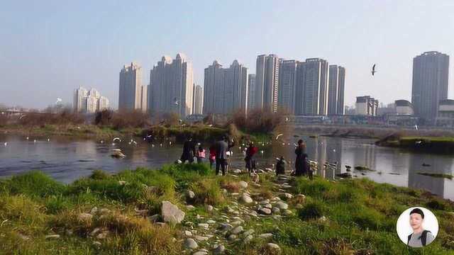 绵阳今天天气这么好,去五一广场看看有多少人出来晒太阳