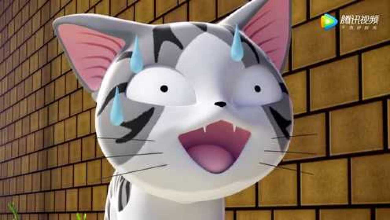 甜甜私房猫小奇怎么流汗了呢