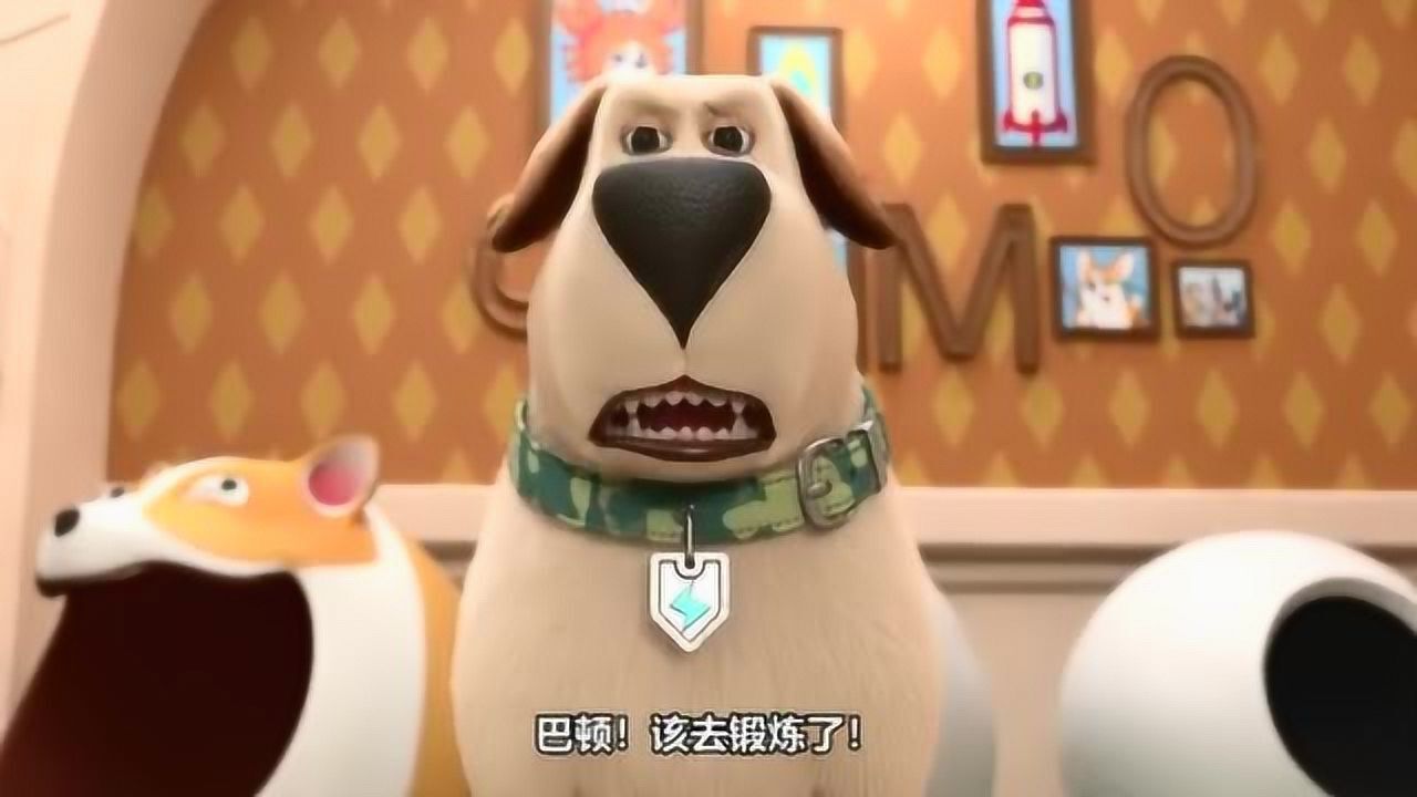 飞狗moco巴顿真倒霉手断了还被拉去锻炼