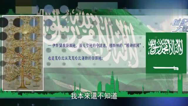 外国王室宫斗,堪比甄嬛传?看完视频就明白了