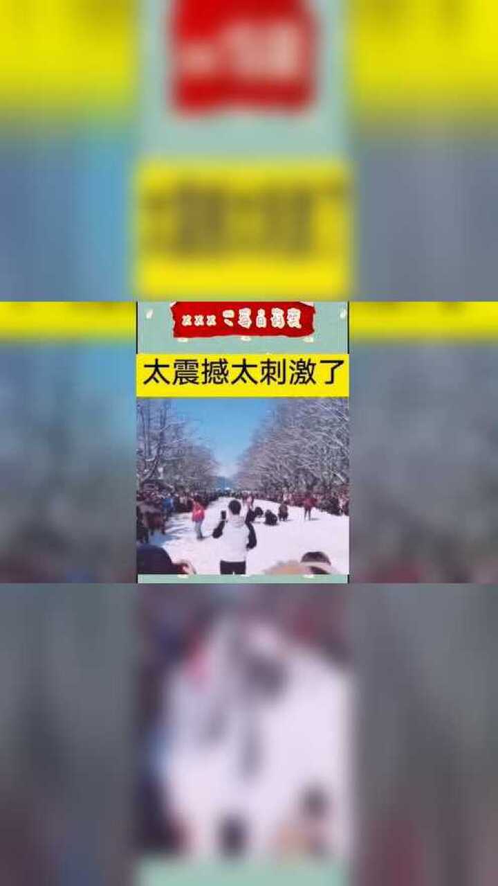 东北打雪仗卧槽,无情