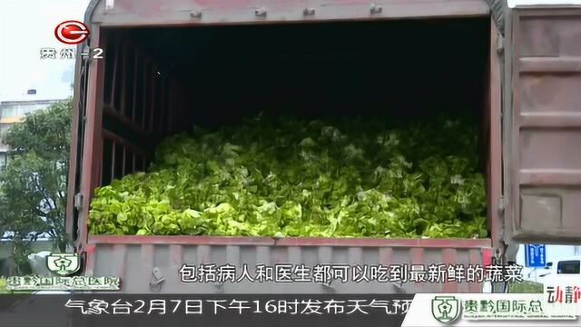 企业助力抗击疫情 11吨蔬菜送到医院