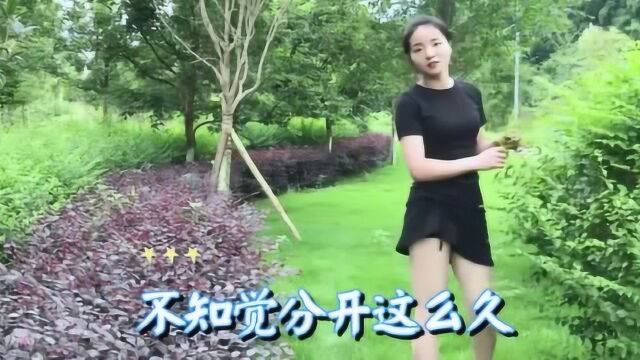 一首《离别的眼泪》送给曾经过往的恋人们,好听极了,听得心碎!