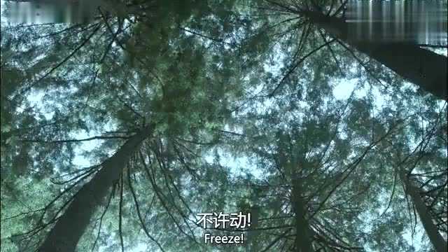 一部足够震撼眼球的欧美顶级冒险大片劲爆逼真到无懈可击