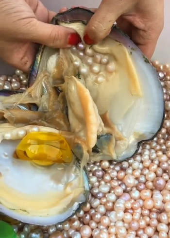 这样的珍珠也是塞进去的吗,你这么聪明你教教我呗!