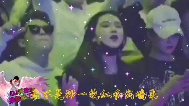 一曲红杏 让人陶醉