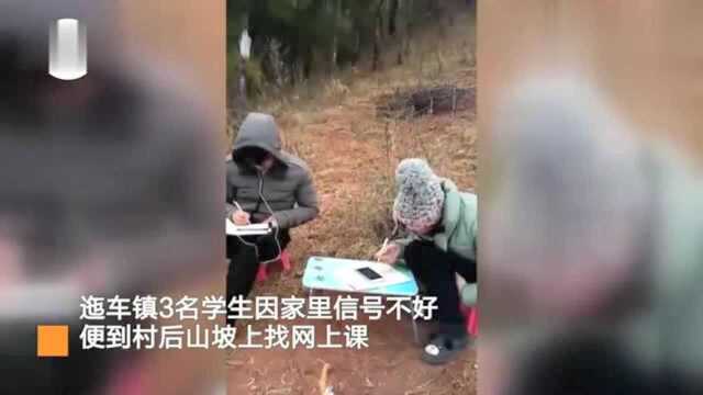 云南3名学生山坡上网课 家长准备柴火为其取暖 一学就是半天