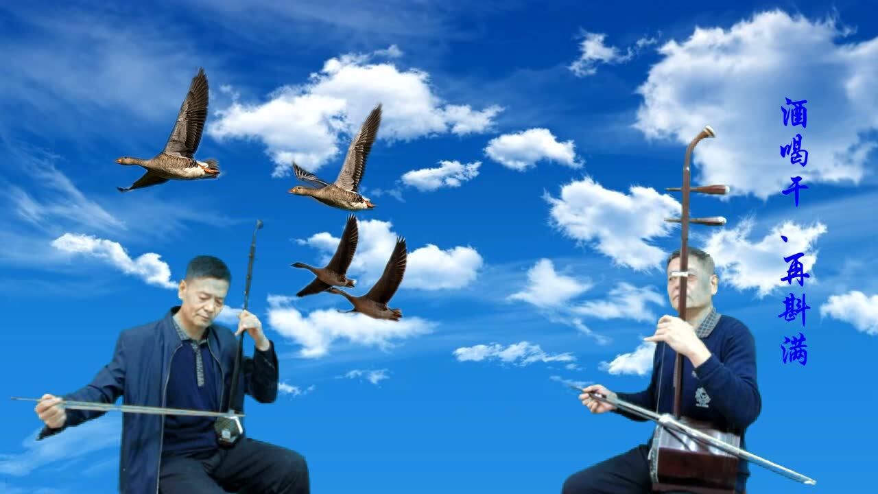 《鸿雁》李维君二胡演奏