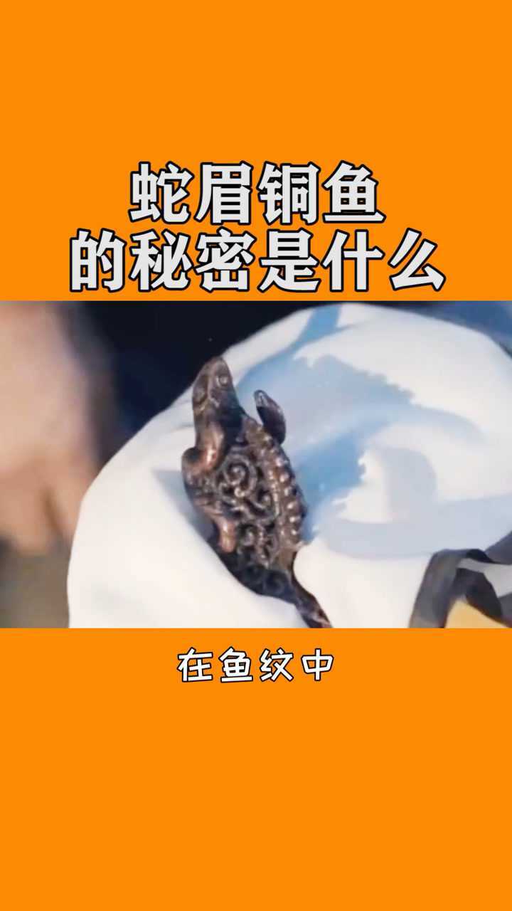 蛇眉铜鱼的秘密到底是什么?_腾讯视频