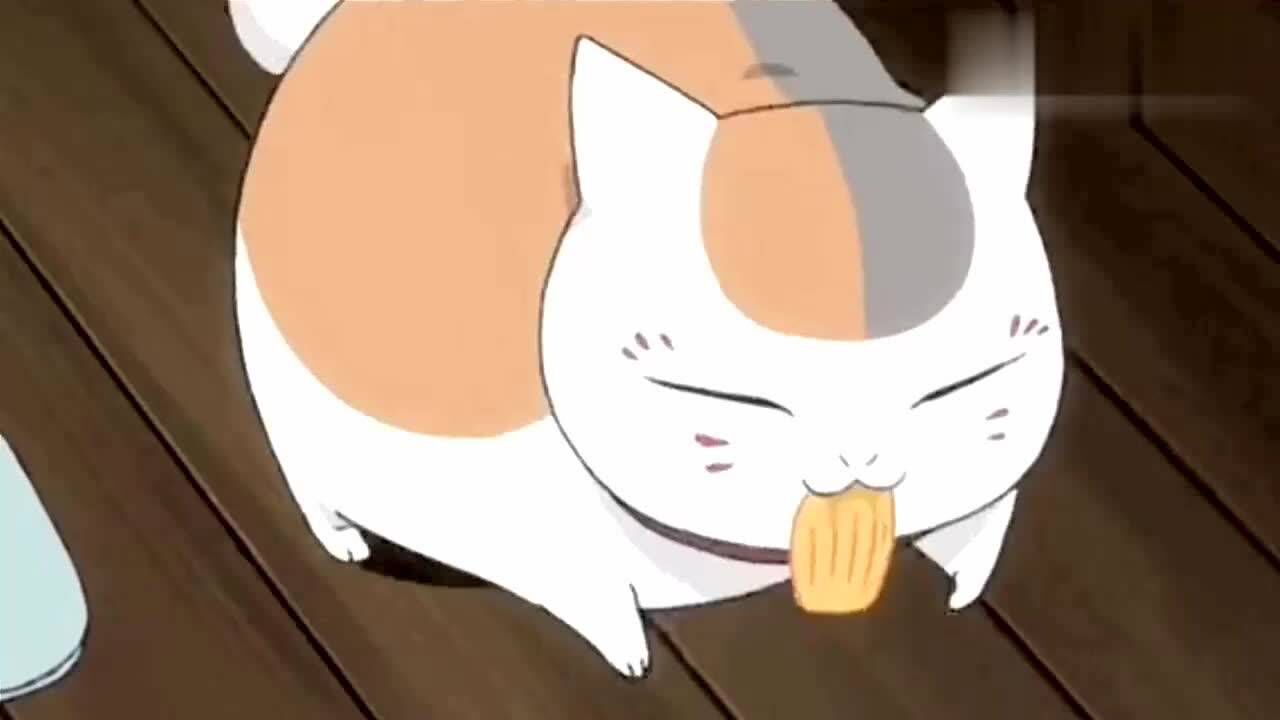 猫老师吃东西,这简直是部美食合辑!