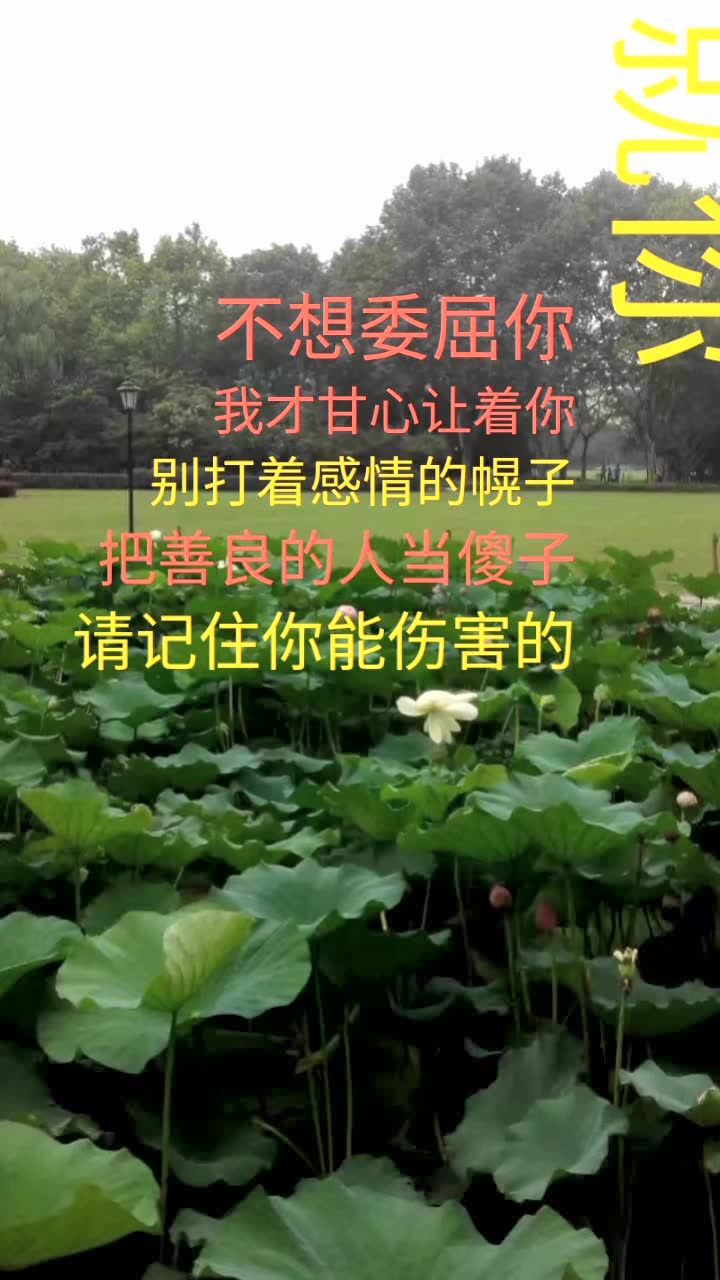 情感语录:从今往后,谁对我好,我就对谁好
