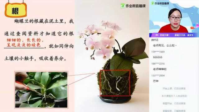 【语】习作:我的植物朋友(二)三年级王茹梦